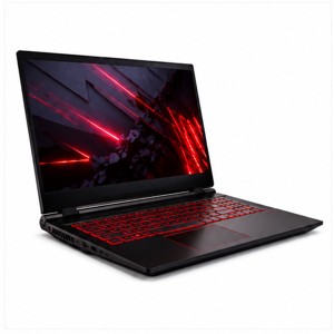 Dragon Lord Laptop 10000